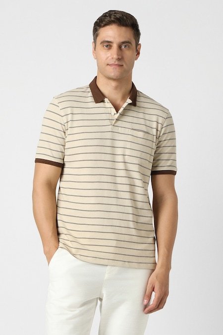 Peter England Beige Striped Casual Half Sleeves Polo Collar Men Regular Fit T-Shirt